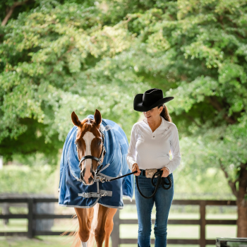 Horseware Ionic Quarter Horse Blankets for Sale