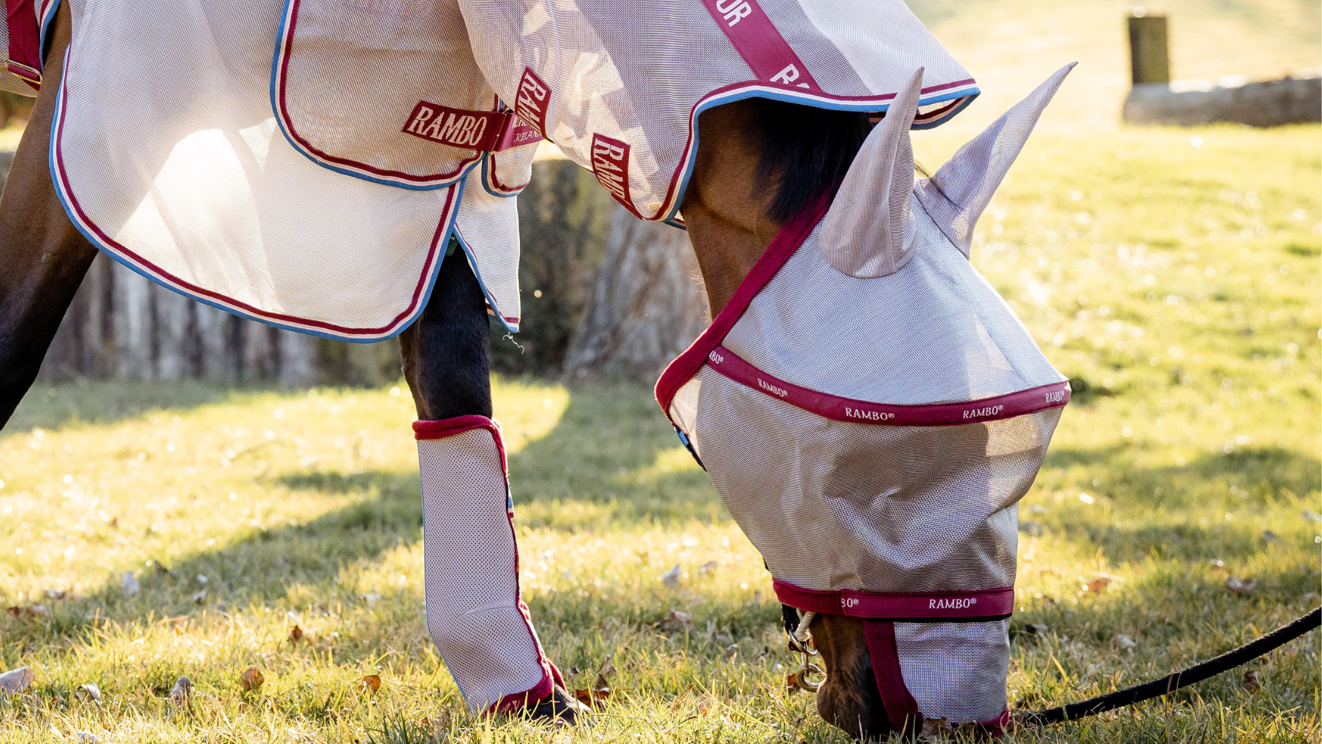 Horseware Ireland ® Official - Shop Equestrian Products Online