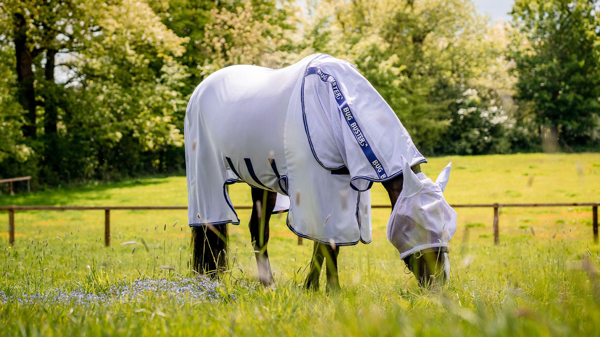 Chemises anti-mouches : Comment choisir la bonne pour votre cheval