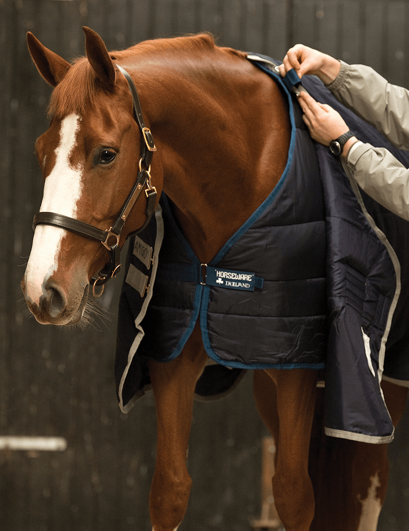 Eine Decke. So viele Optionen.