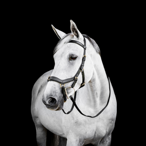 Micklem Multi-bridle