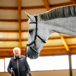 Micklem Multi Bridle Lunging
