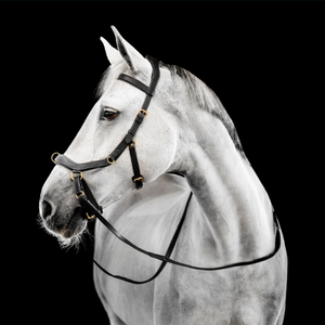 Micklem Bitless Bridle Fitting