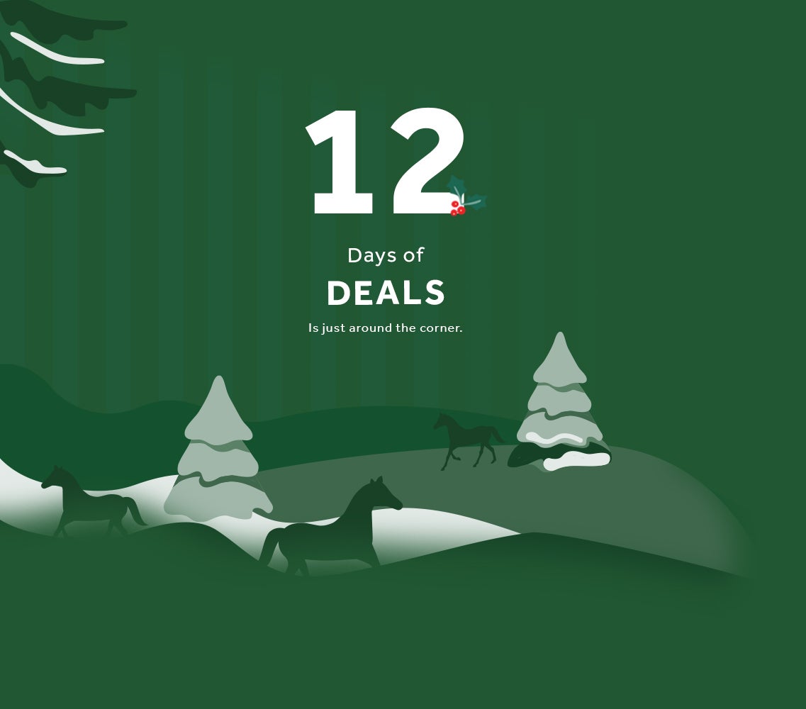 12 Days of Deals is just around the corner