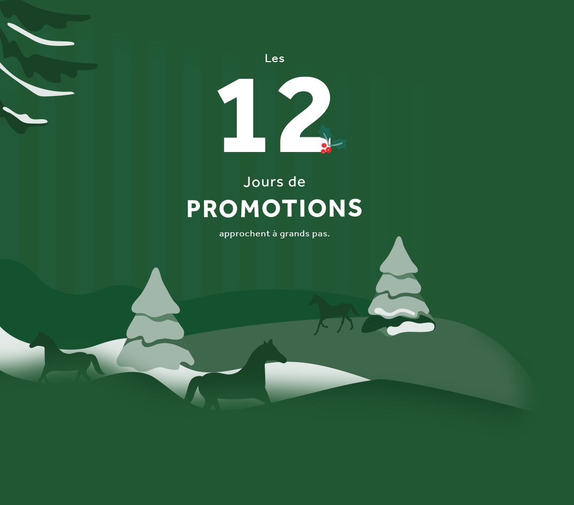 Les 12 jours de promotions approchent à grands pas 