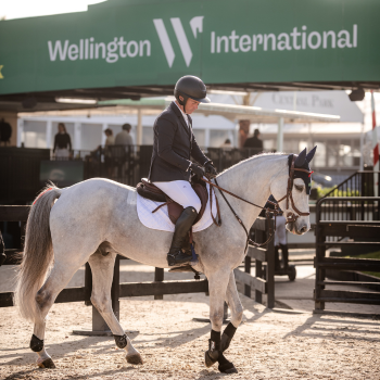 Cian O'Connor at WEF