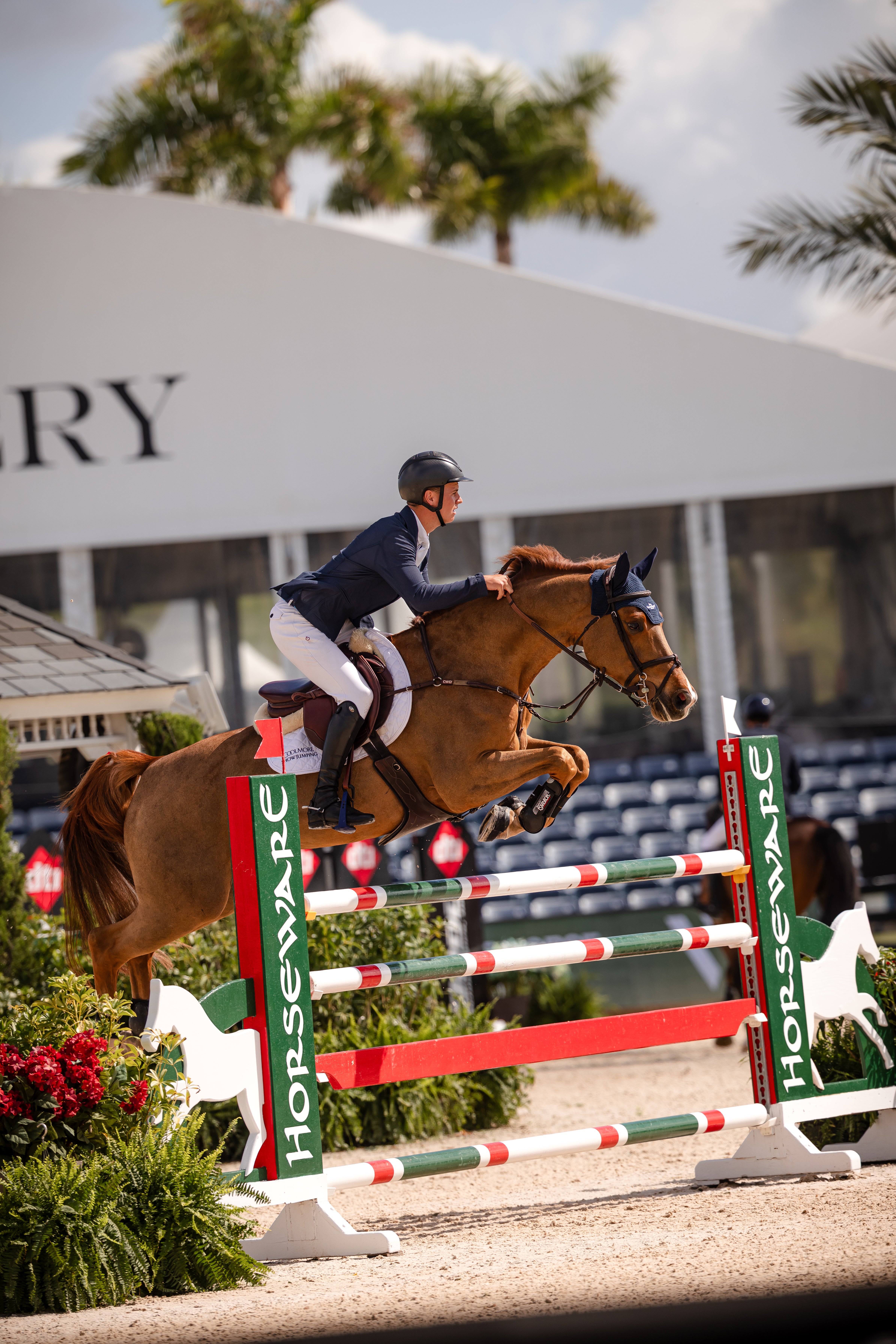 WEF Horseware Jump